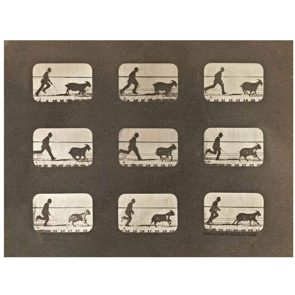 Motion Study Man Chasing A Goat-Paper Art-34&quotx26"
