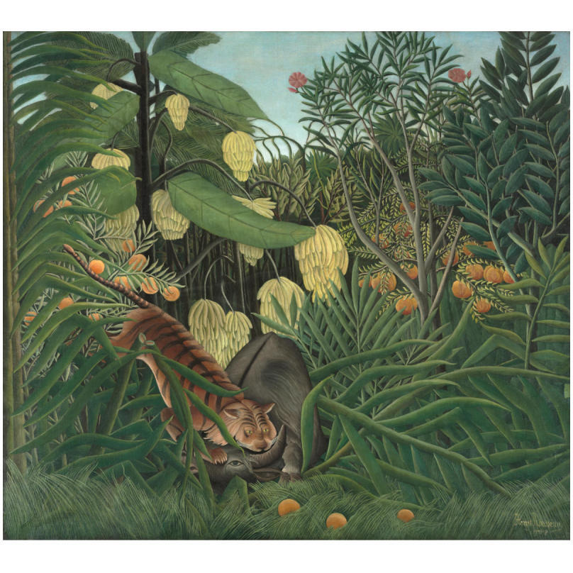 Fight between a Tiger and a Buffalo, 1908-Paper Art-18&quotx16"