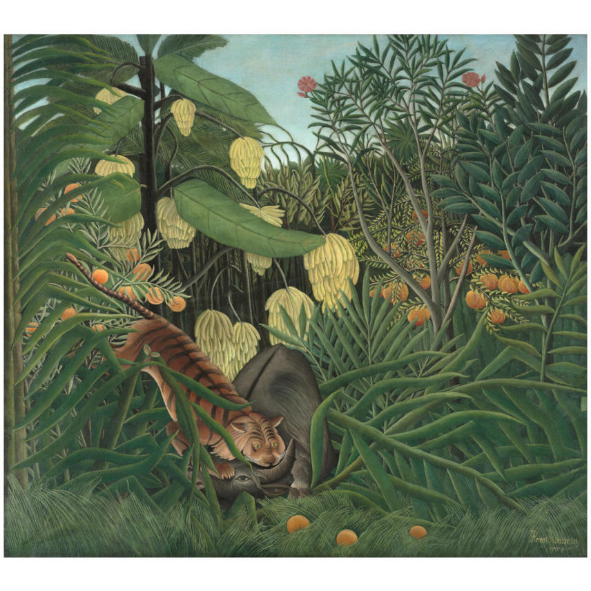 Fight between a Tiger and a Buffalo, 1908-Paper Art-24&quotx22"