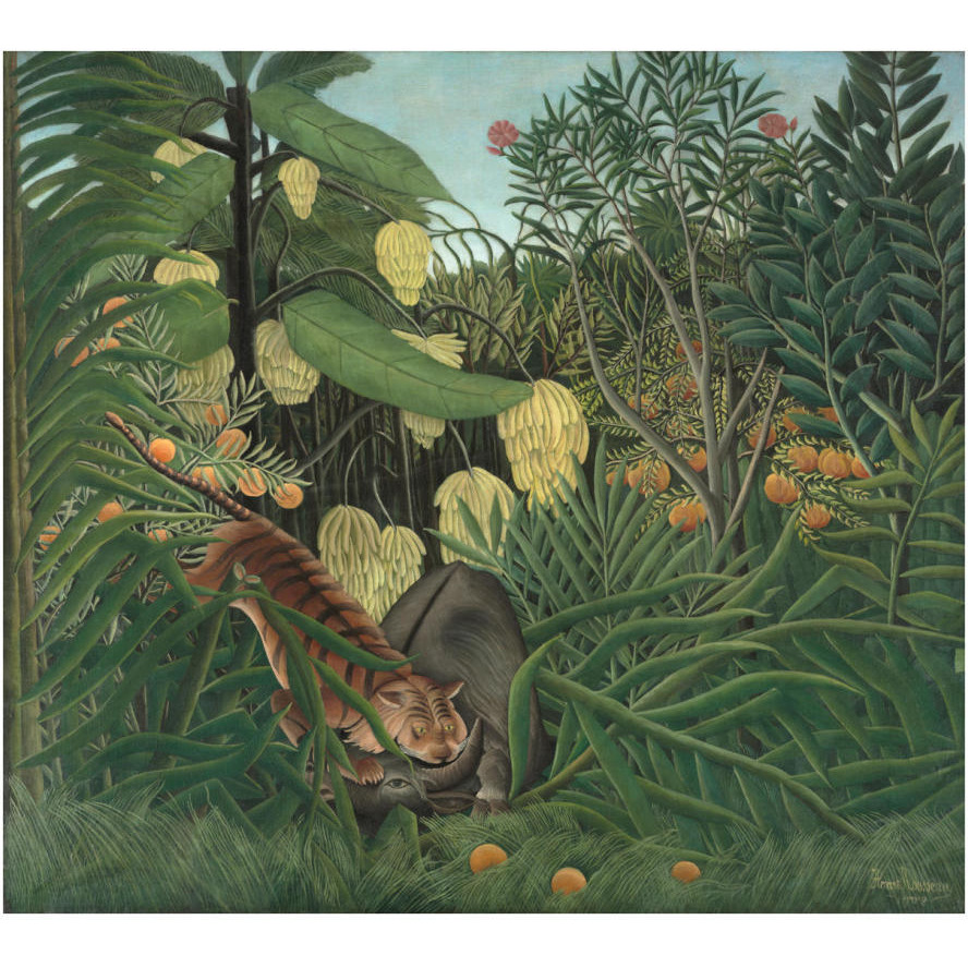 Fight between a Tiger and a Buffalo, 1908-Paper Art-32&quotx29"
