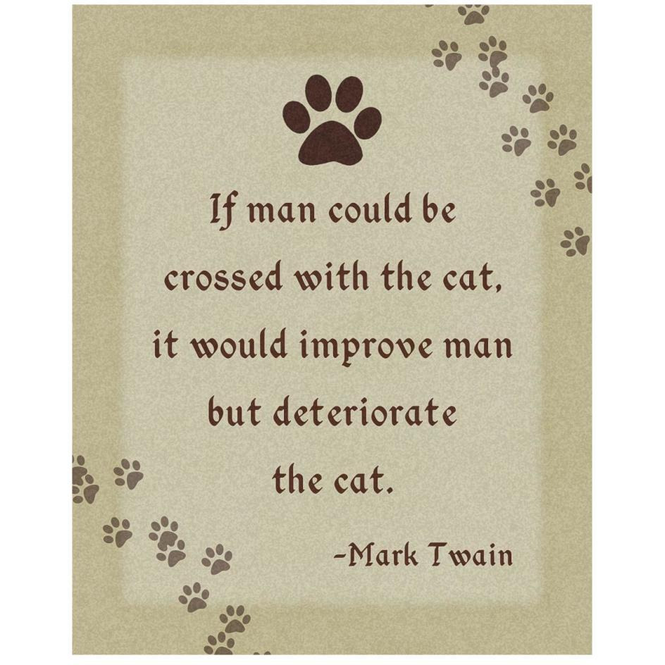 Mark Twain Cross Man and Cat-Paper Art-22&quotx26"