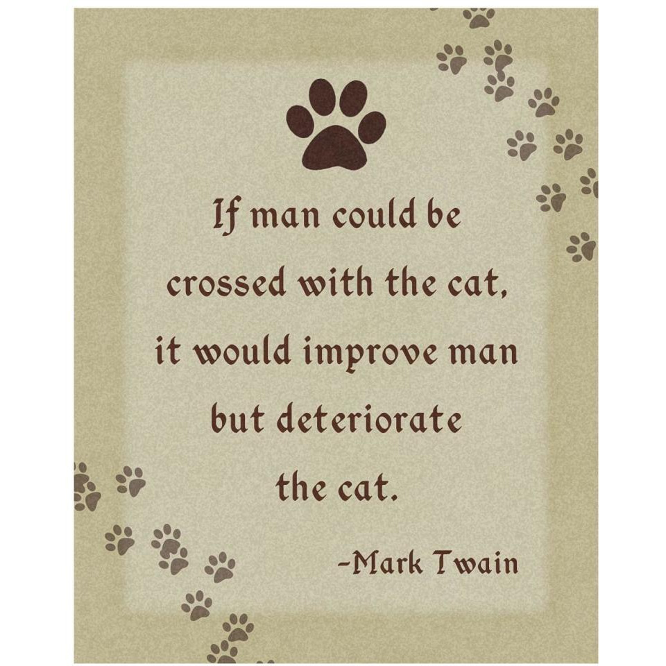 Mark Twain Cross Man and Cat-Paper Art-30&quotx37"