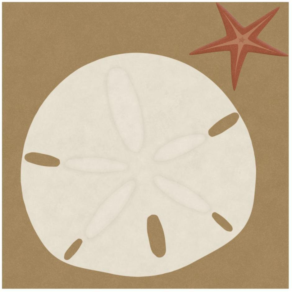 Summer Fun Sand Dollar-Paper Art-26&quotx26"