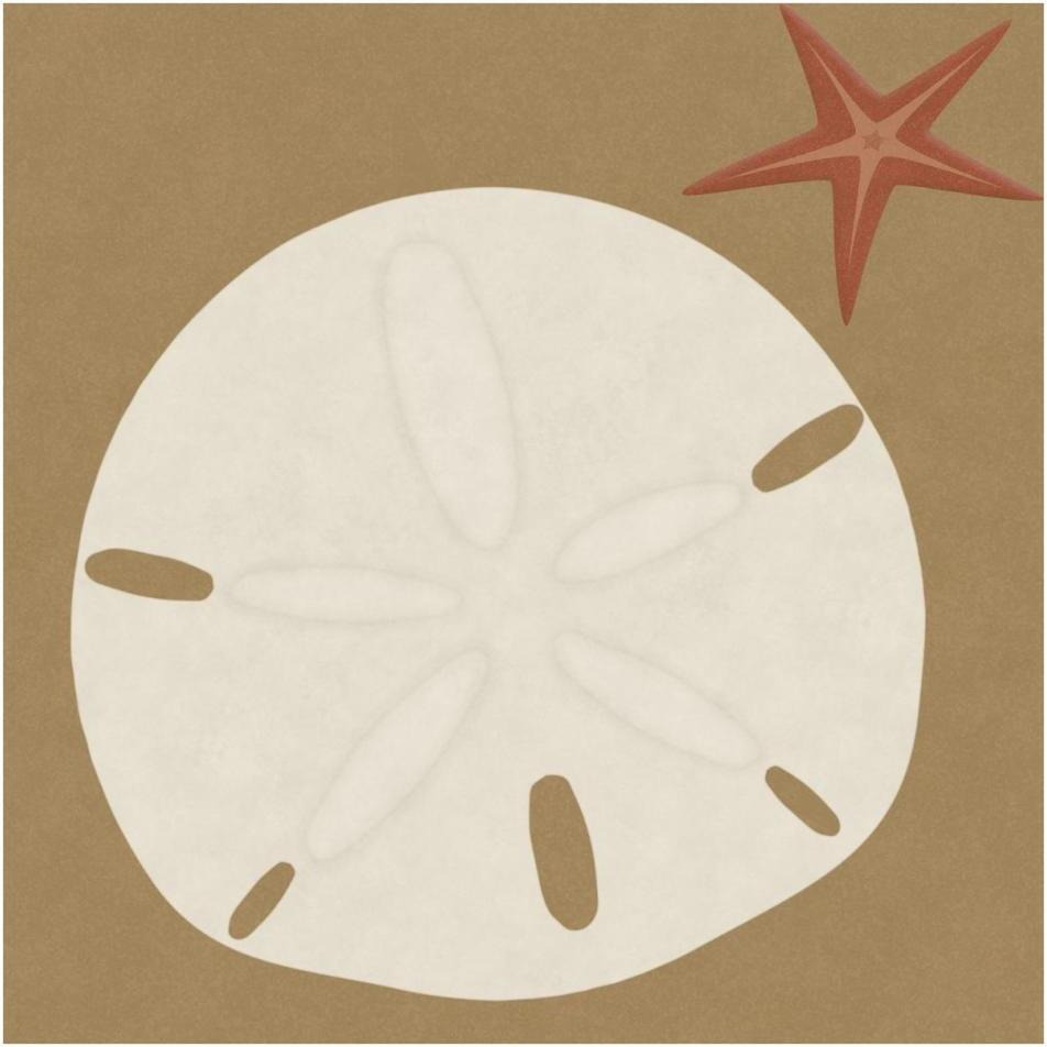 Summer Fun Sand Dollar-Paper Art-38&quotx38"
