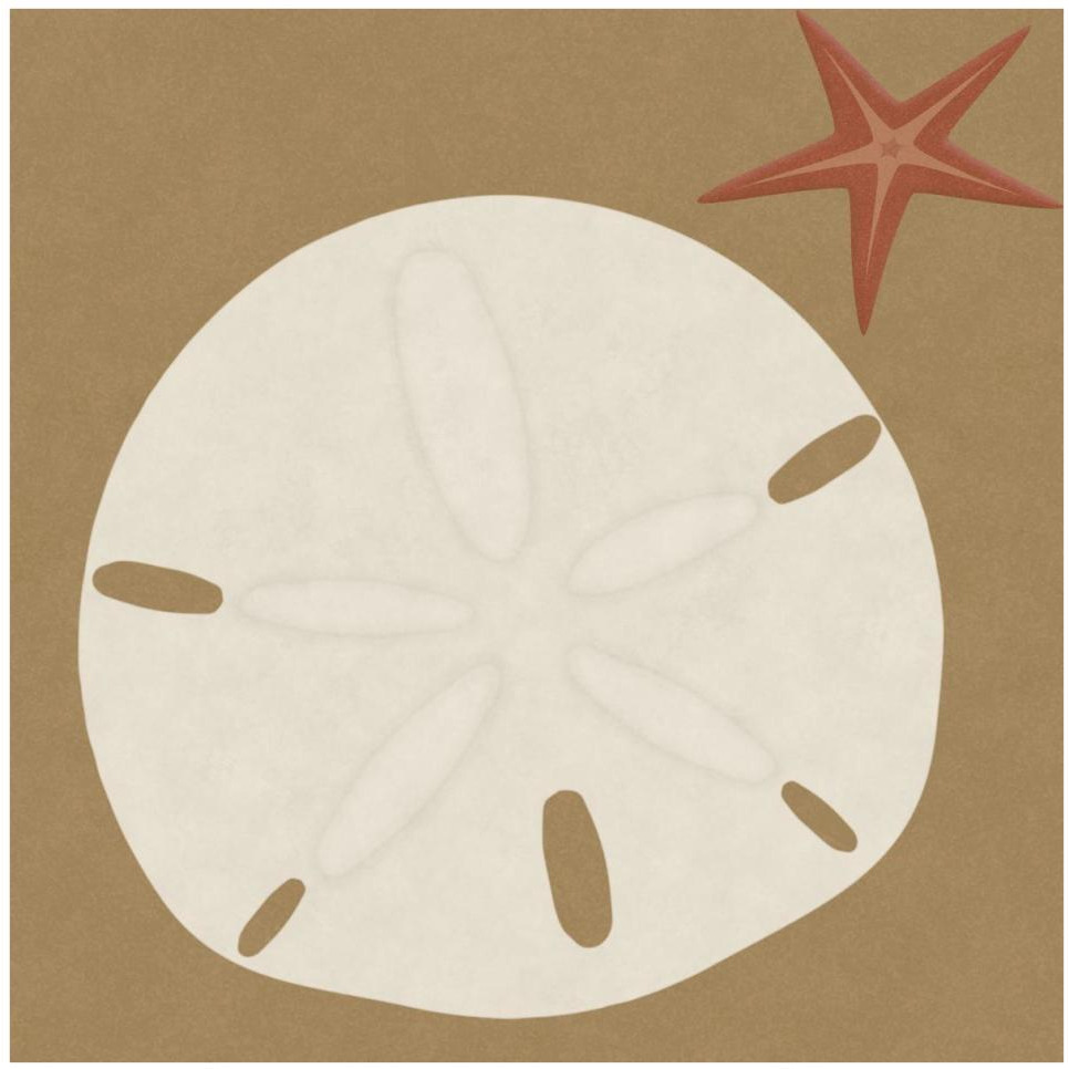 Summer Fun Sand Dollar-Paper Art-42&quotx42"