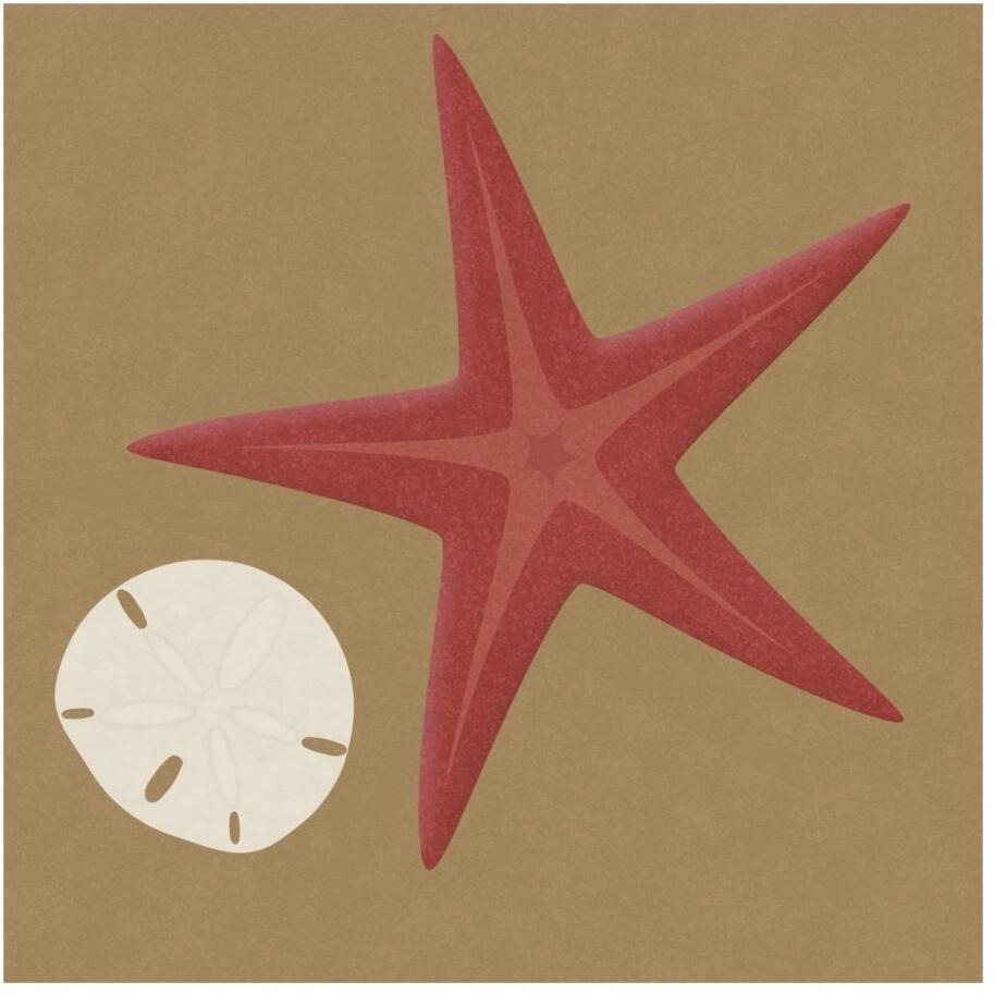 Summer Fun Starfish-Paper Art-20&quotx20"