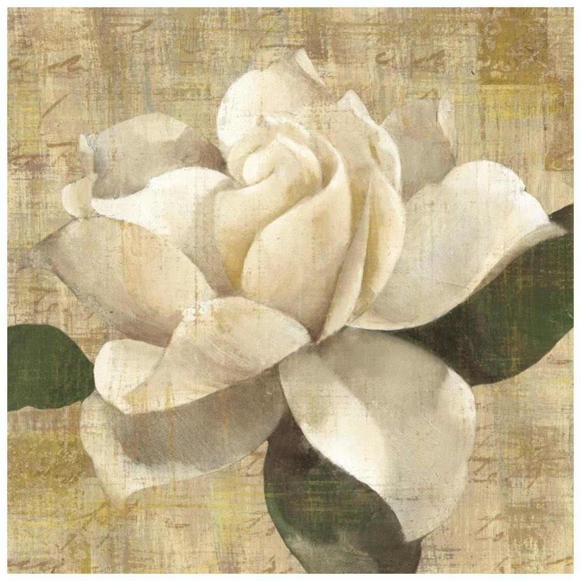 Gardenia Blossom on Script -Paper Art-26&quotx26"