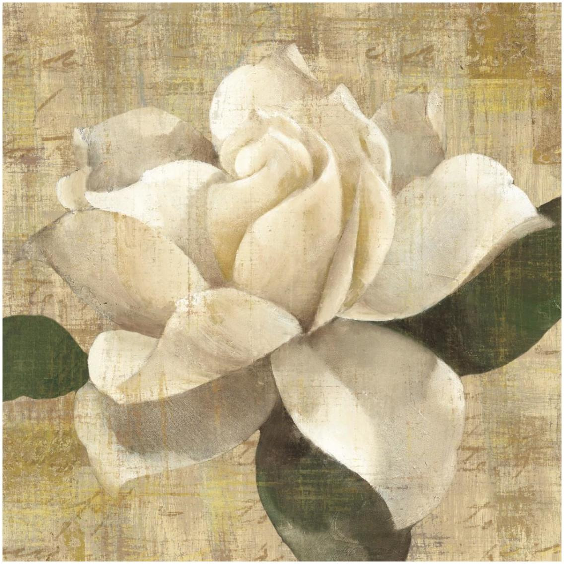 Gardenia Blossom on Script -Paper Art-32&quotx32"