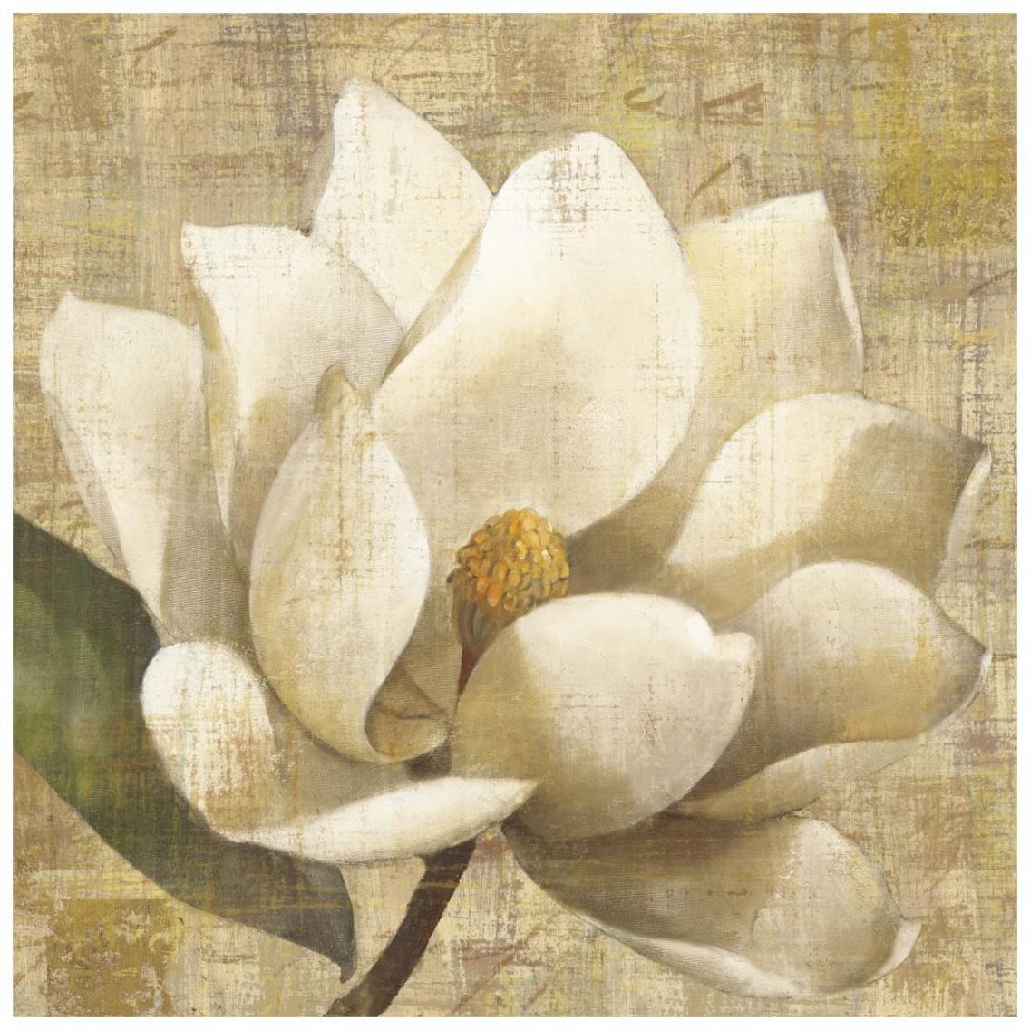 Magnolia Blossom on Script -Paper Art-26&quotx26"