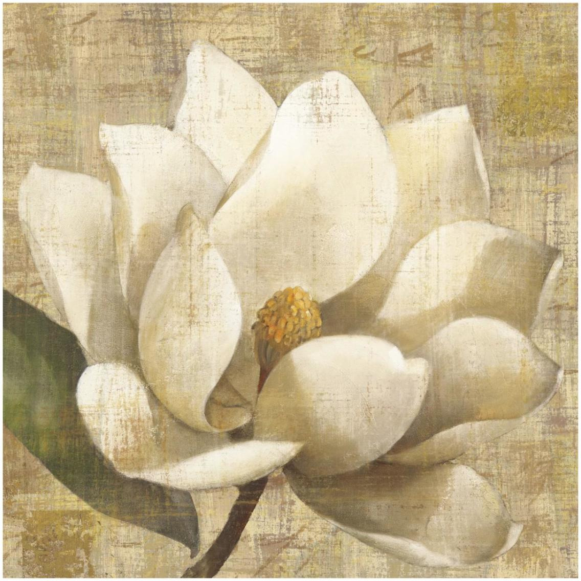 Magnolia Blossom on Script -Paper Art-32&quotx32"