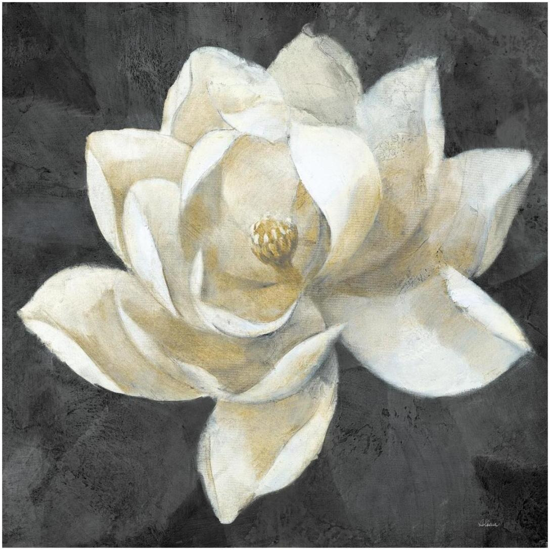 Majestic Magnolia Neutral Sq -Paper Art-20&quotx20"