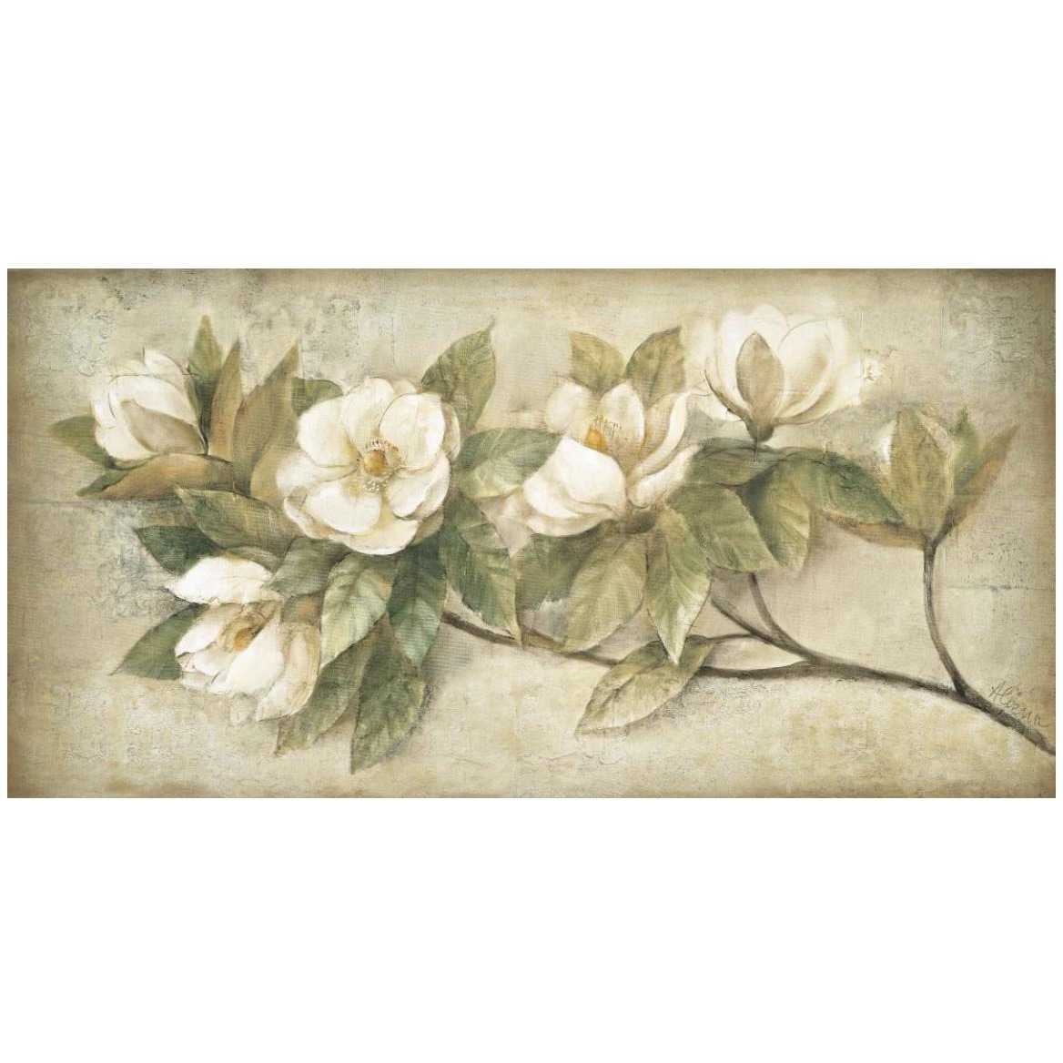 Sugar Magnolia Vintage -Paper Art-50&quotx26"
