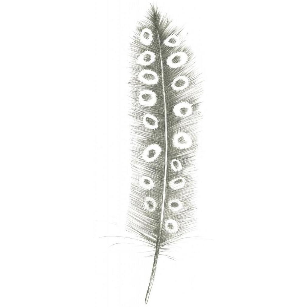 Feather Sketches VII -Paper Art-14&quotx32"