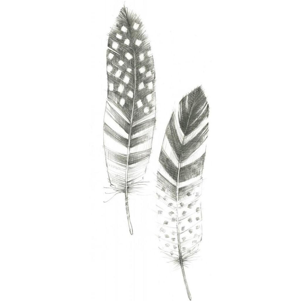 Feather Sketches VIII -Paper Art-18&quotx42"