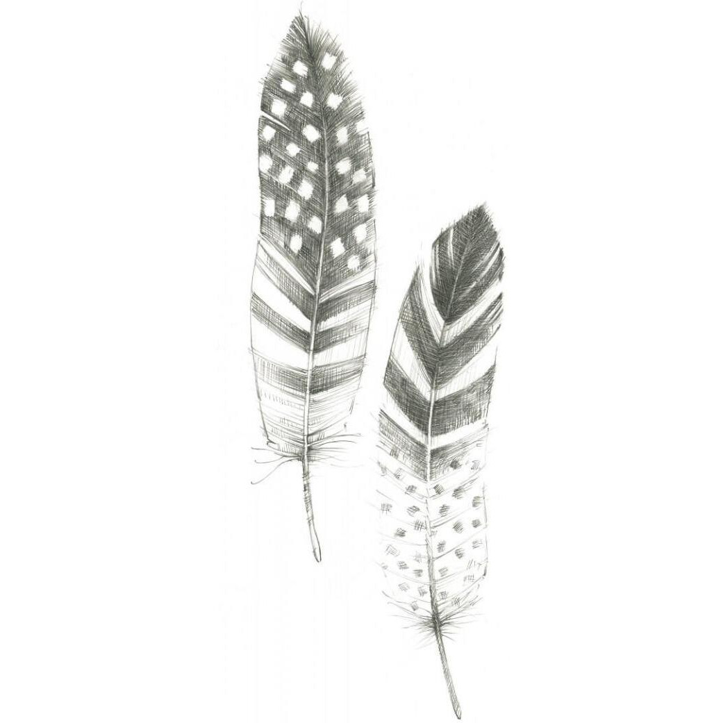 Feather Sketches VIII -Paper Art-22&quotx52"