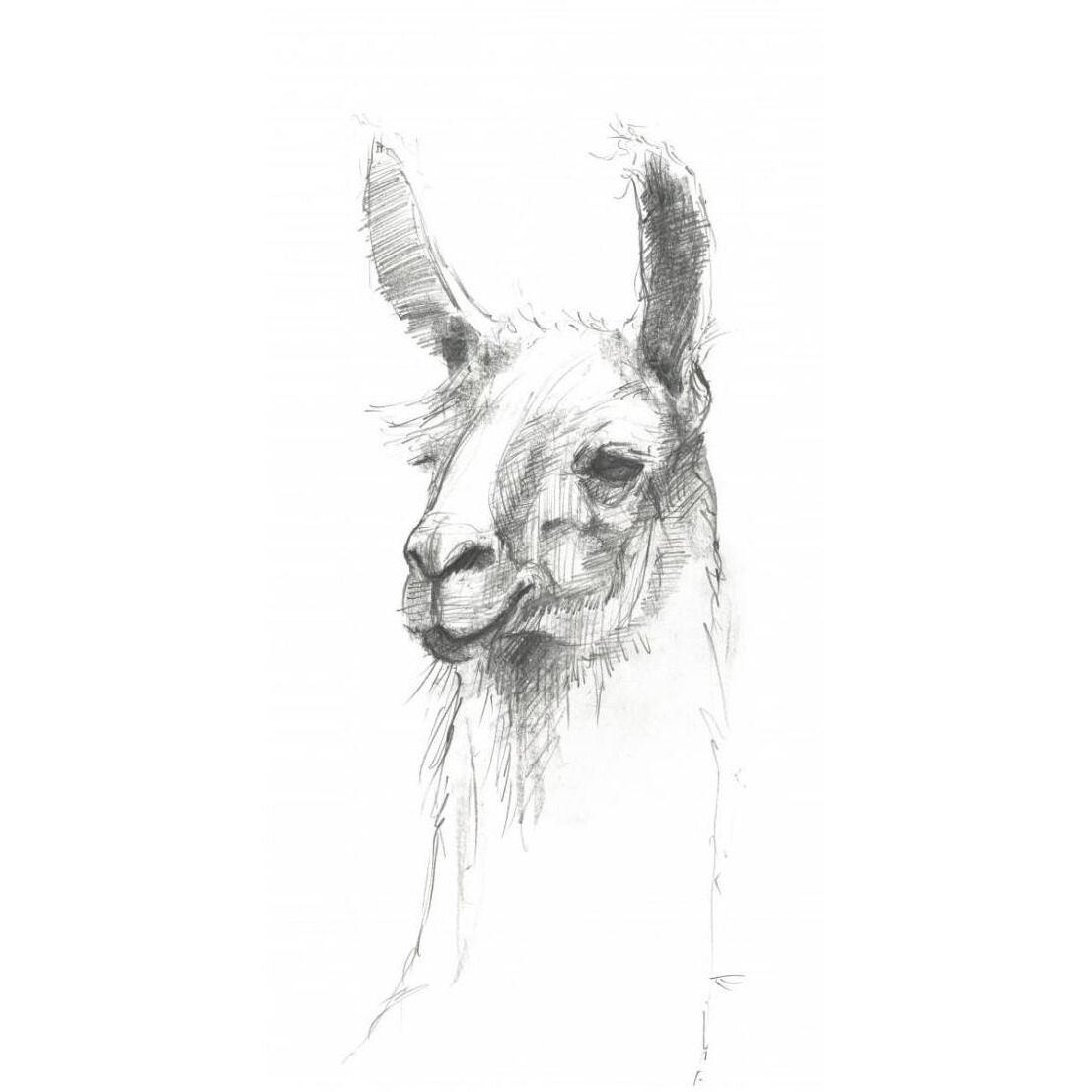 Bianca Pencil -Paper Art-14&quotx26"