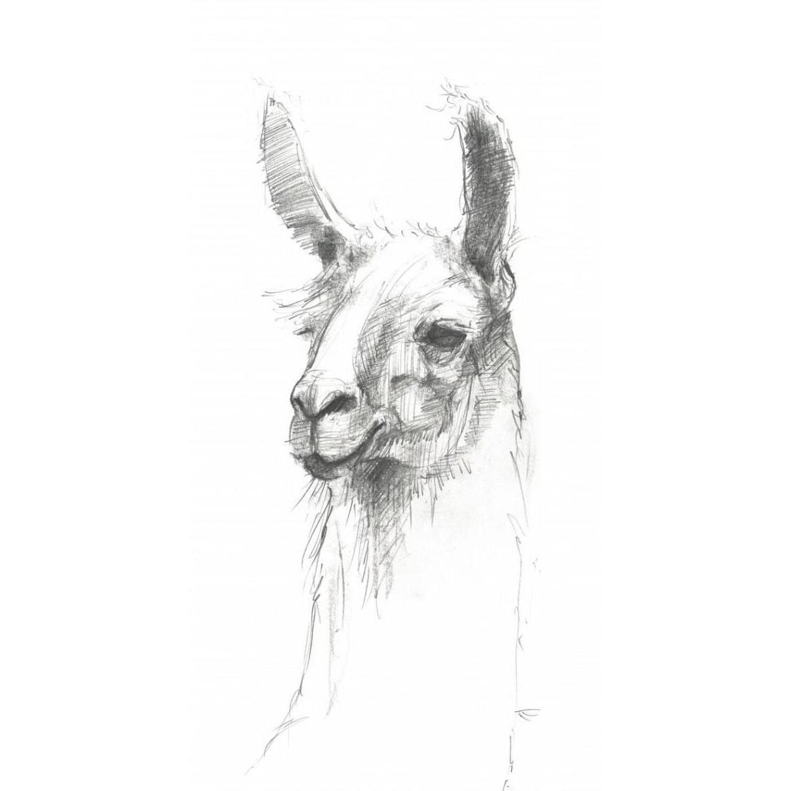 Bianca Pencil -Paper Art-20&quotx38"