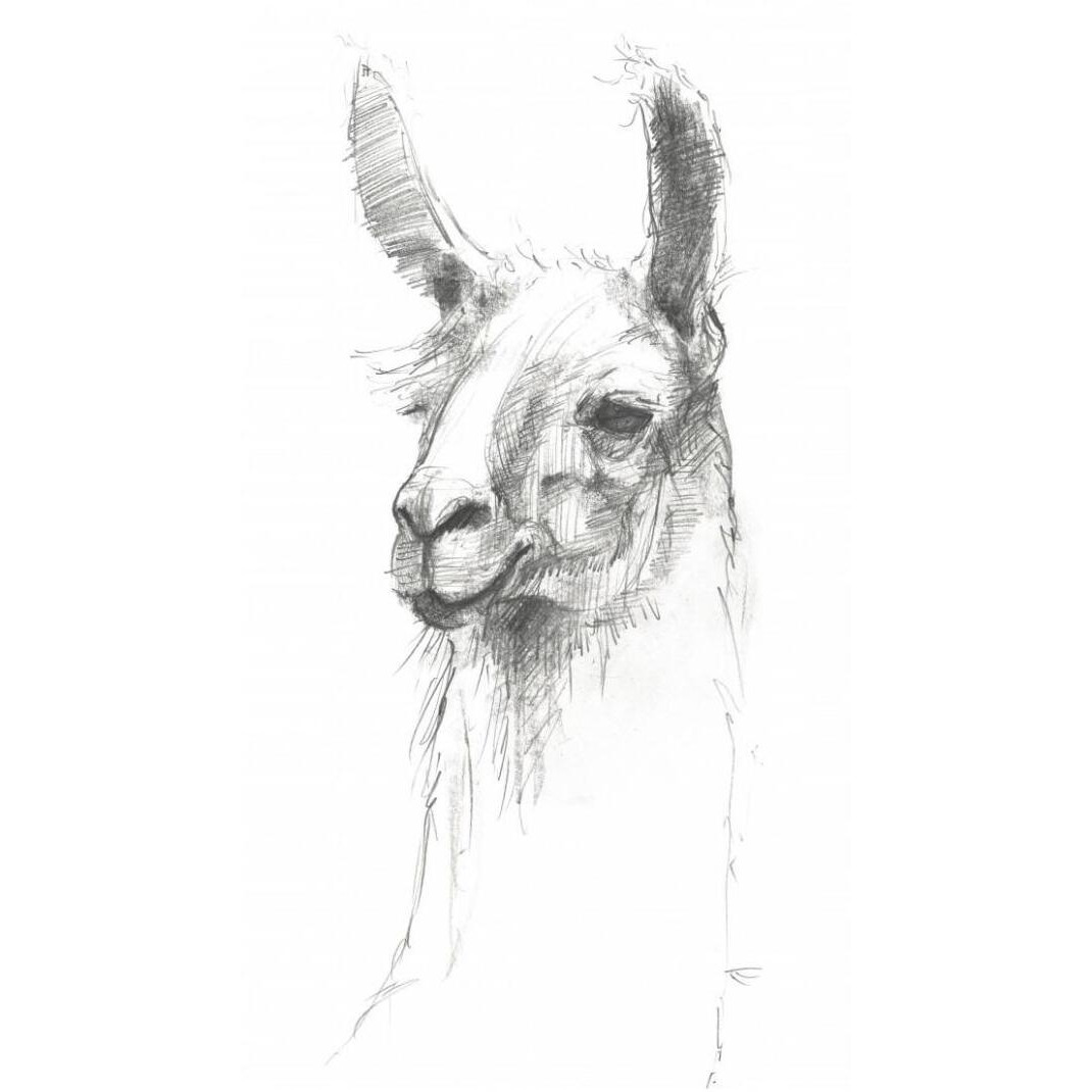 Bianca Pencil -Paper Art-32&quotx62"