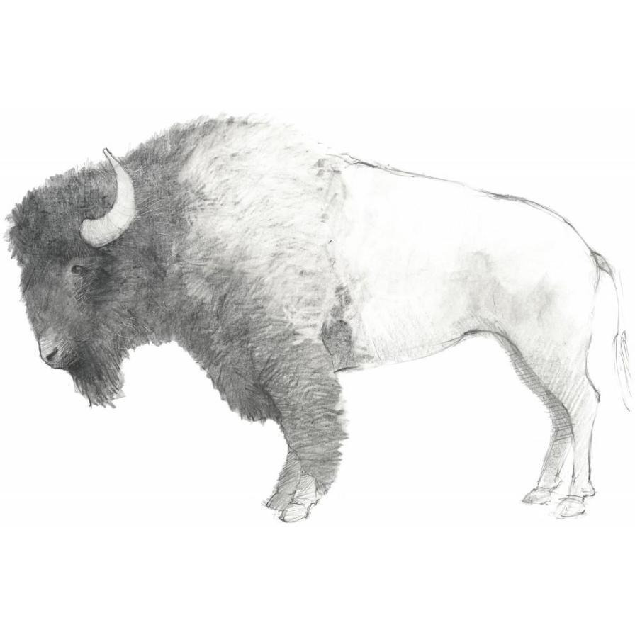 Bison Dark -Paper Art-22&quotx18"