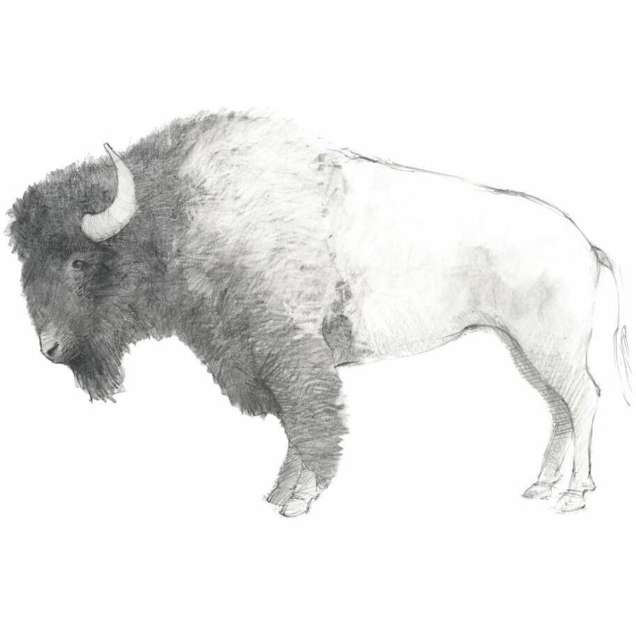 Bison Dark -Paper Art-26&quotx22"
