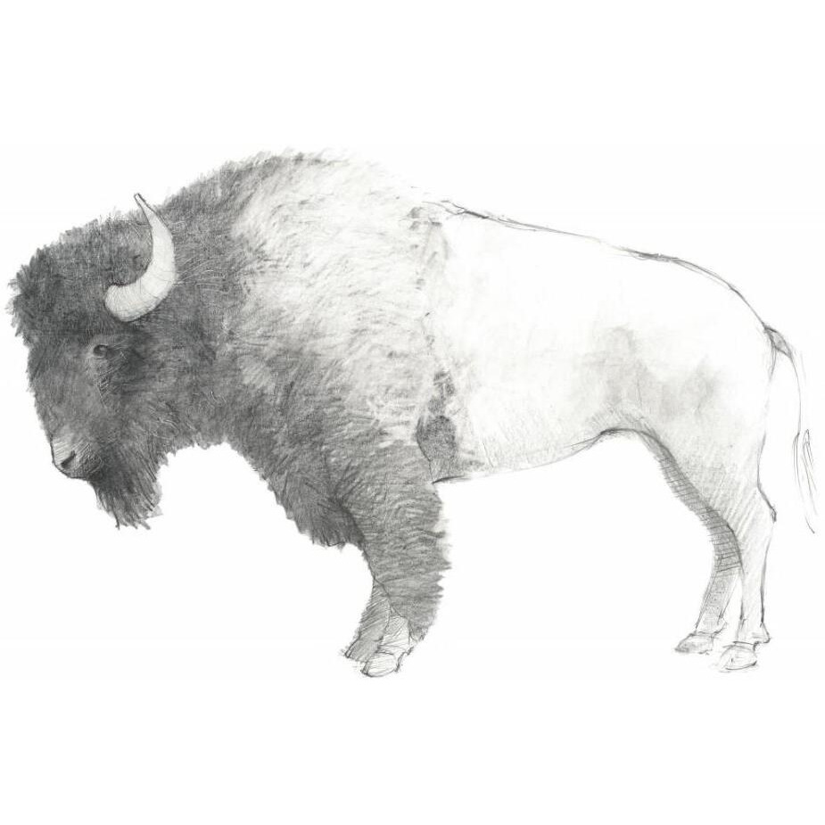 Bison Dark -Paper Art-30&quotx24"