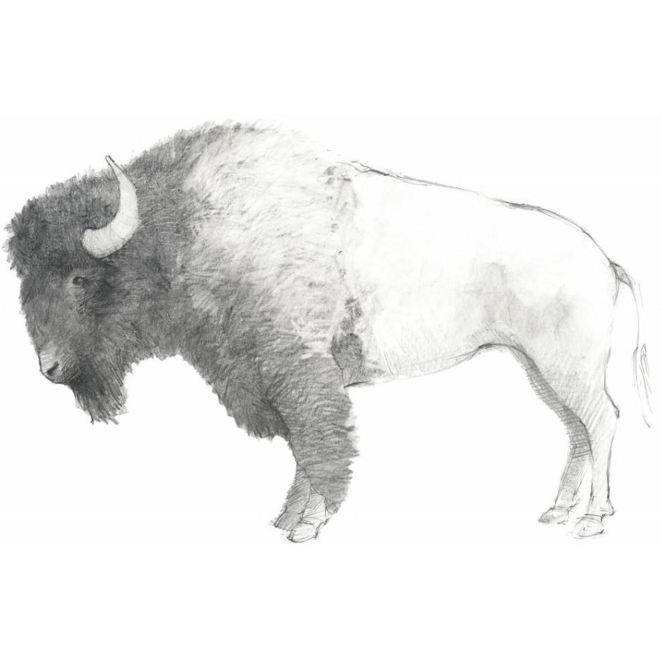 Bison Dark -Paper Art-37&quotx30"