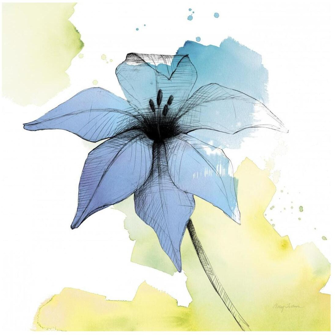 Watercolor Graphite Flower V -Paper Art-20&quotx20"