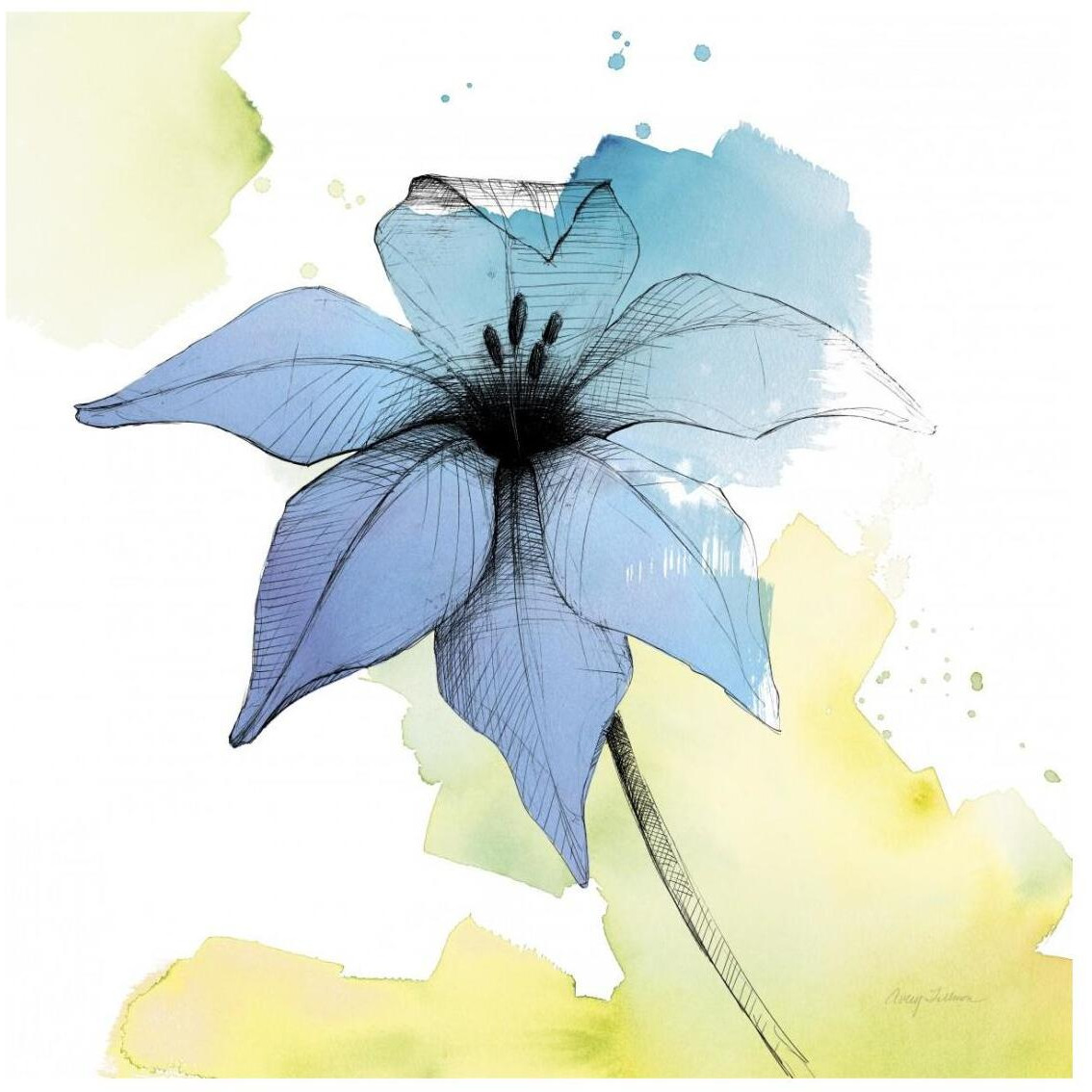 Watercolor Graphite Flower V -Paper Art-26&quotx26"