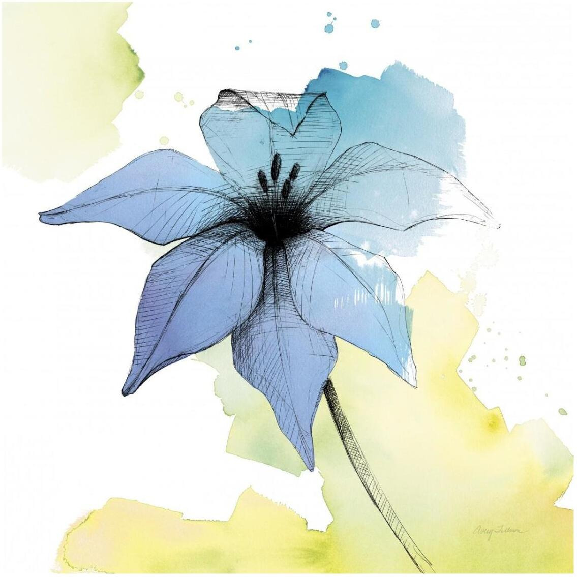 Watercolor Graphite Flower V -Paper Art-32&quotx32"