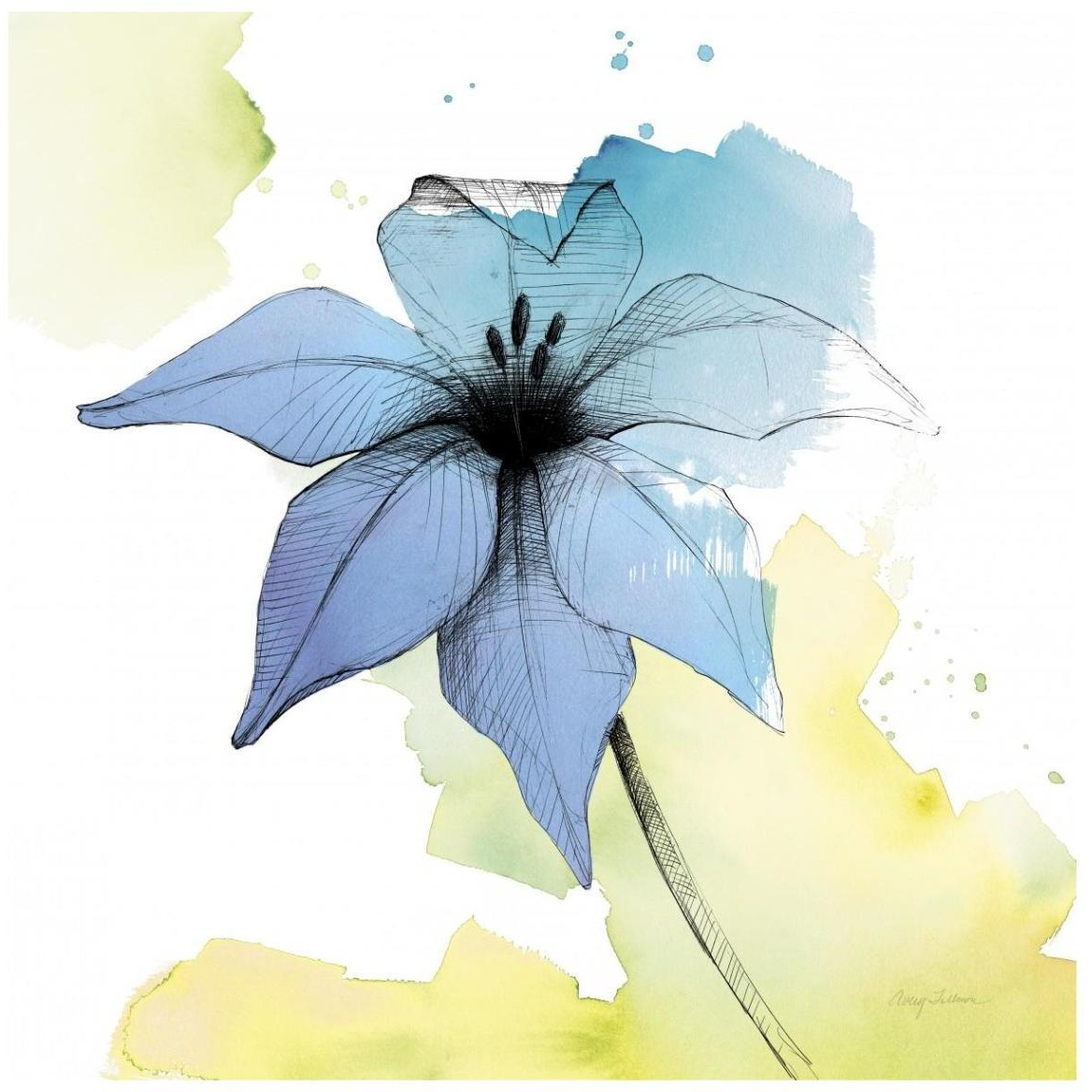 Watercolor Graphite Flower V -Paper Art-42&quotx42"