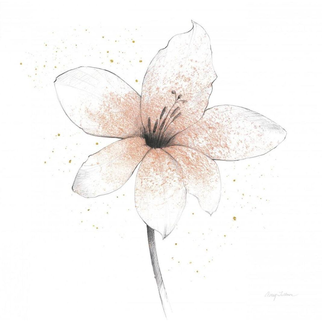 Coral Graphite Flower II -Paper Art-20&quotx20"