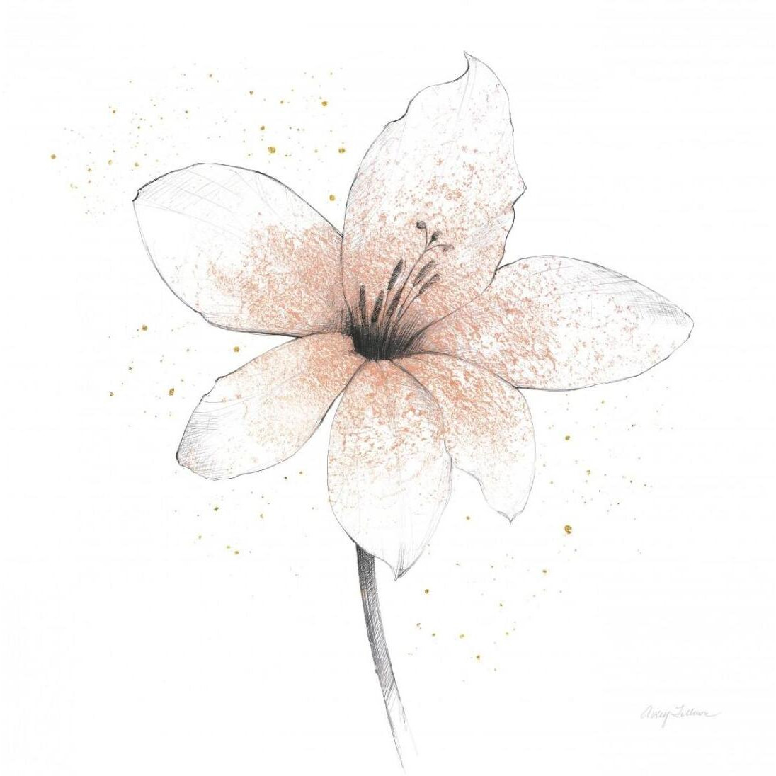 Coral Graphite Flower II -Paper Art-26&quotx26"