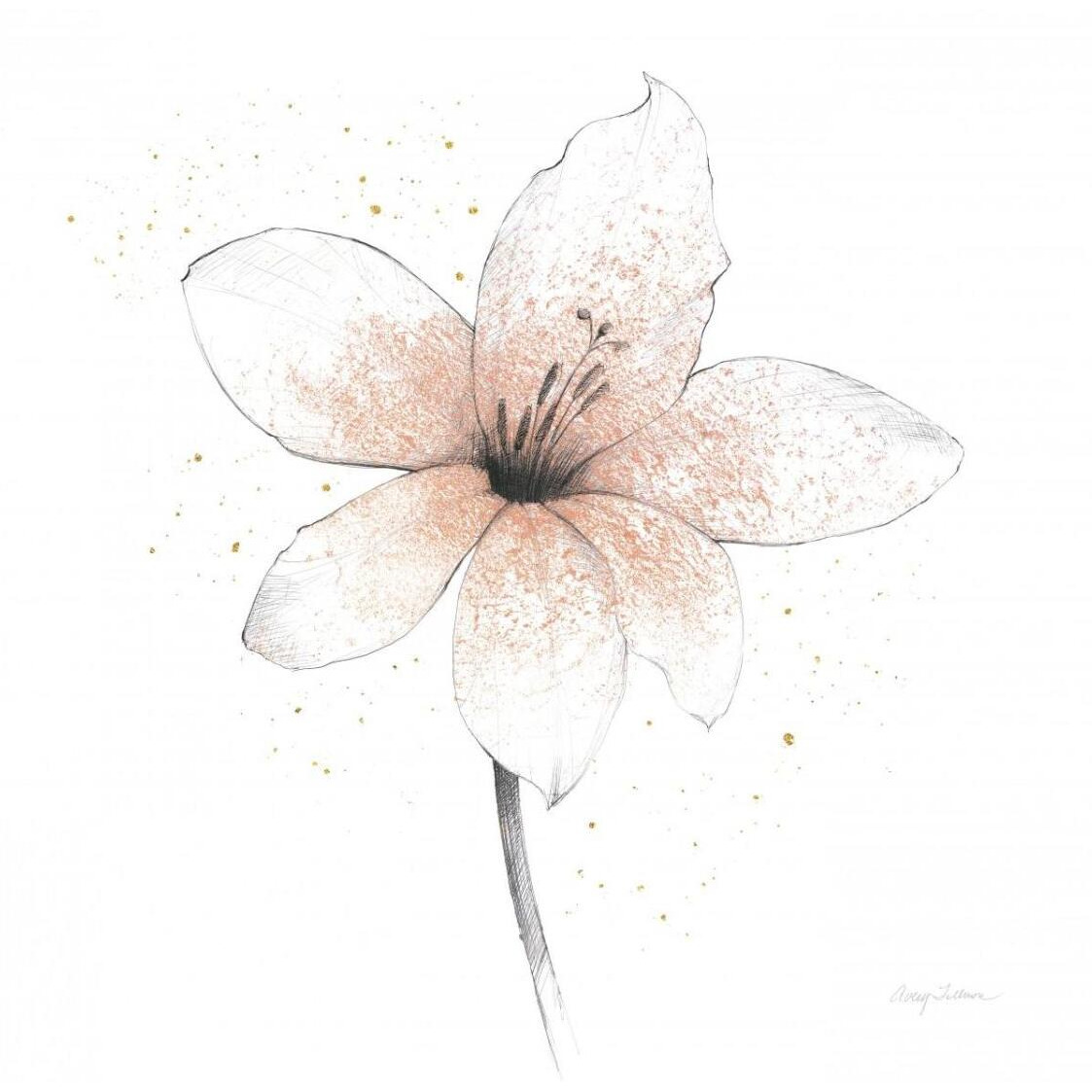 Coral Graphite Flower II -Paper Art-32&quotx32"