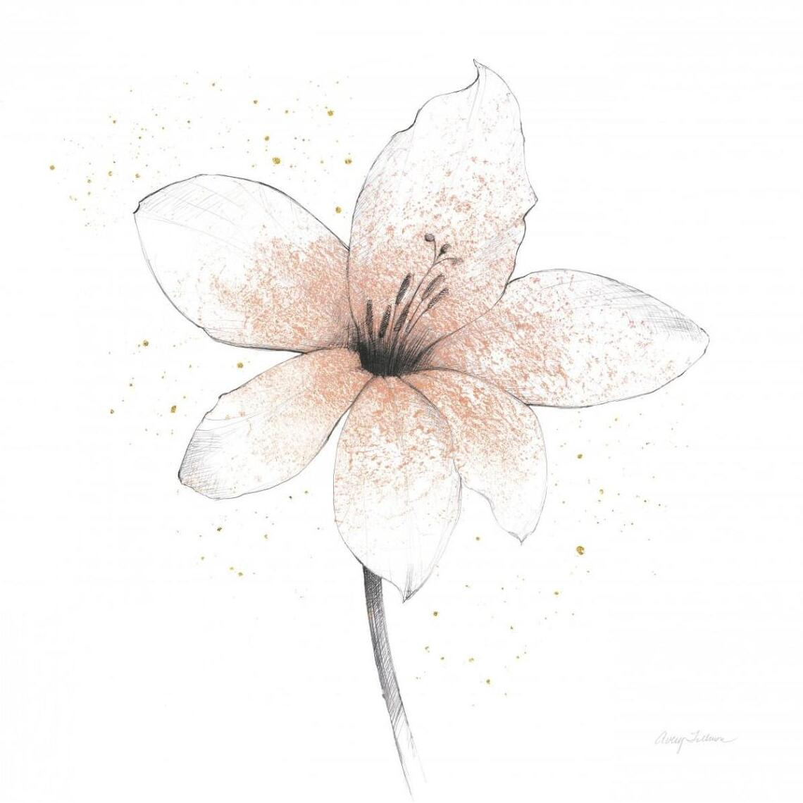 Coral Graphite Flower II -Paper Art-42&quotx42"