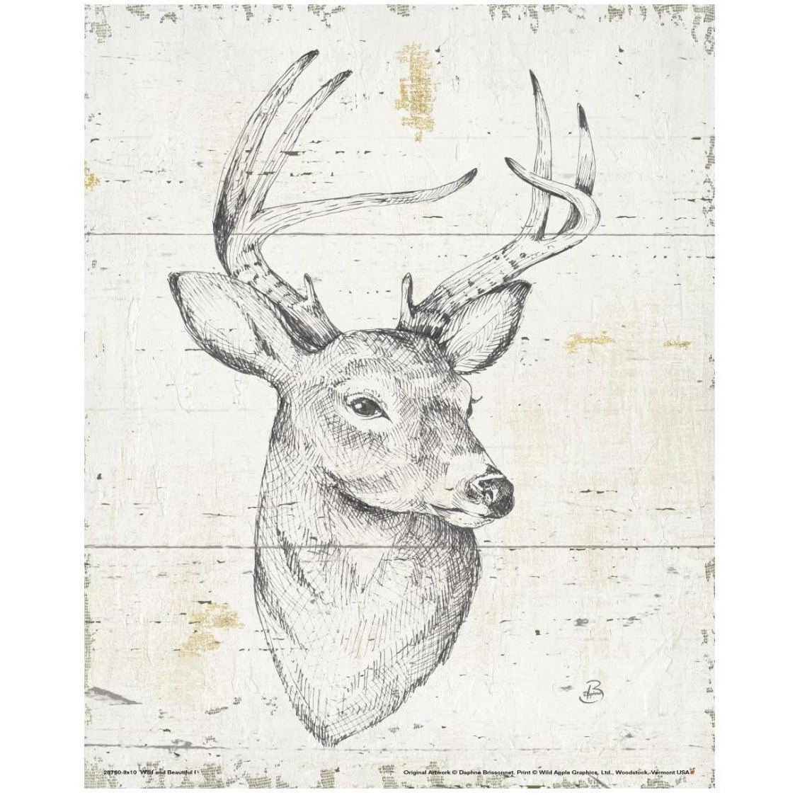 Wild and Beautiful I -Paper Art-22&quotx26"