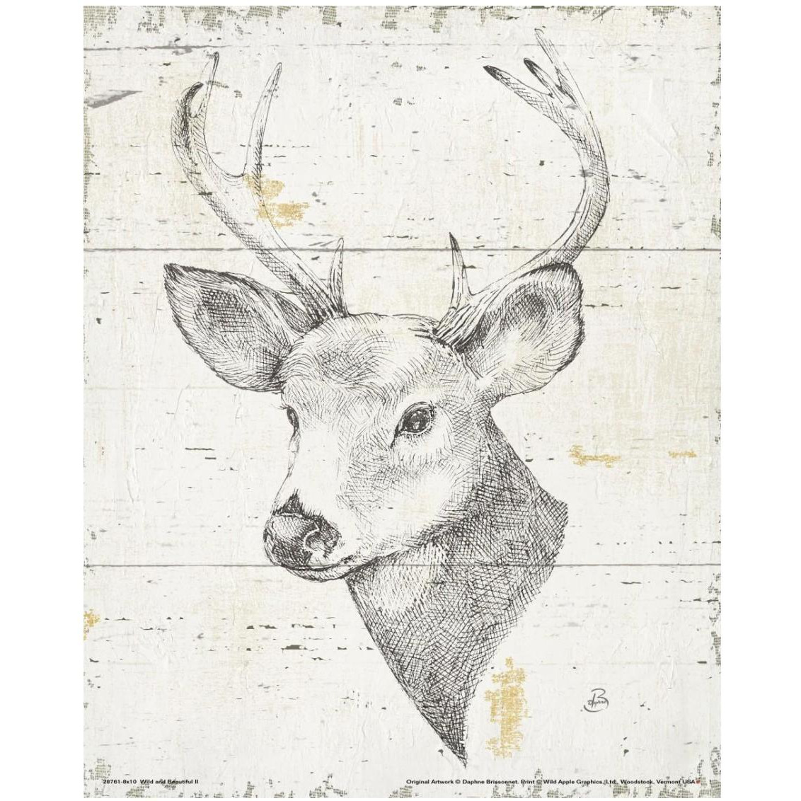 Wild and Beautiful II -Paper Art-24&quotx30"