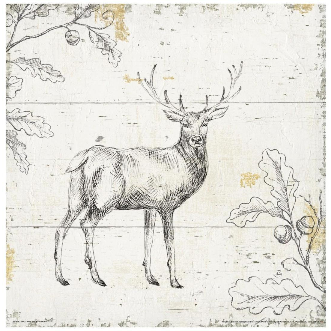 Wild and Beautiful V -Paper Art-20&quotx20"
