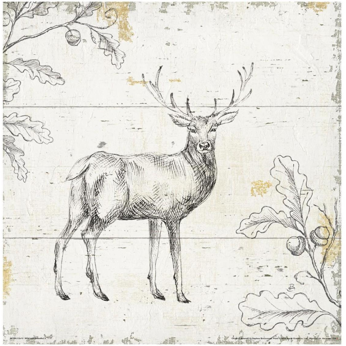 Wild and Beautiful V -Paper Art-32&quotx32"