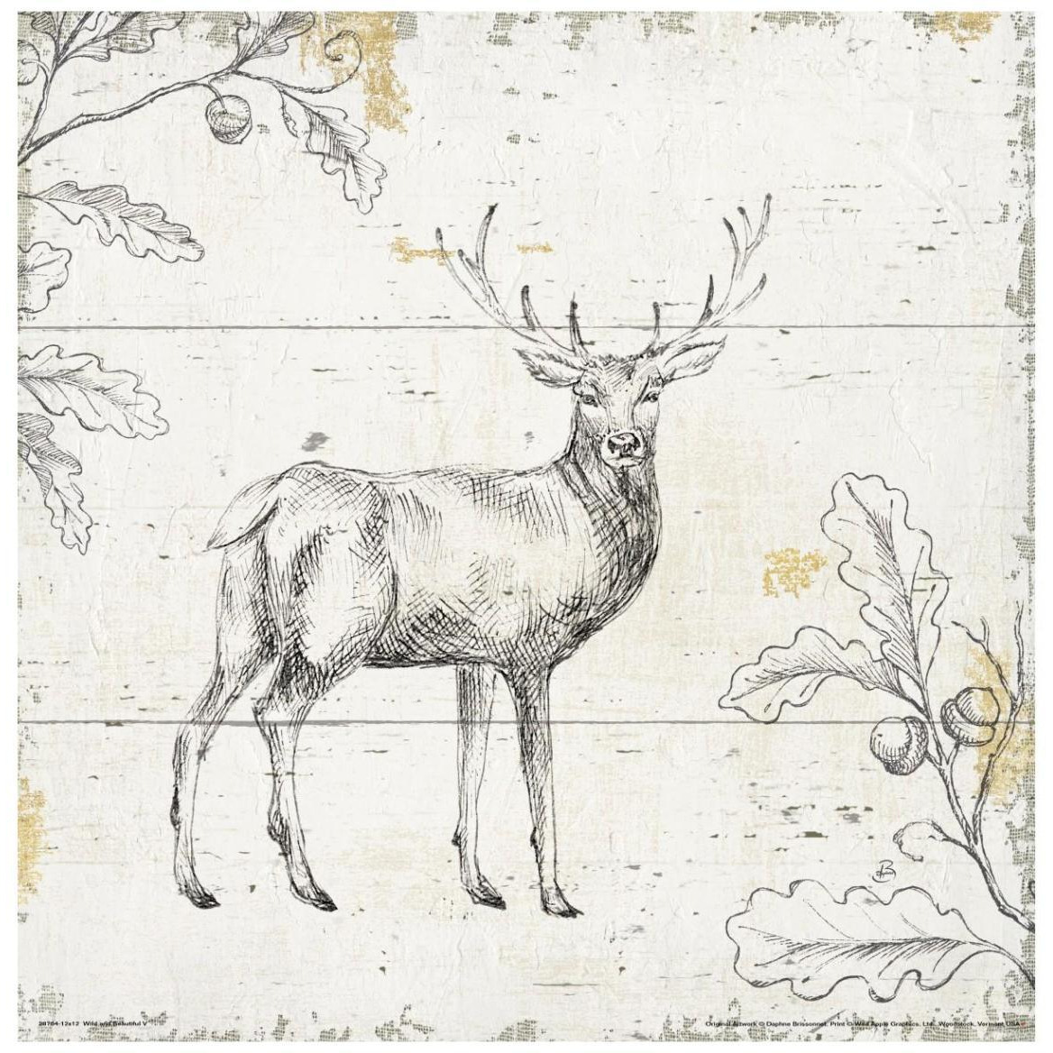 Wild and Beautiful V -Paper Art-42&quotx42"