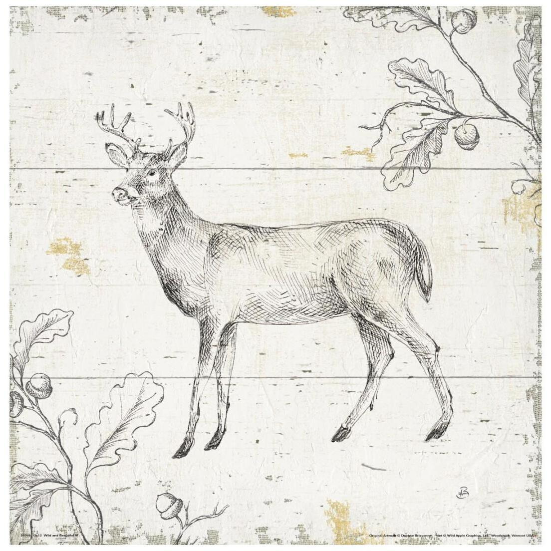 Wild and Beautiful VI -Paper Art-20&quotx20"