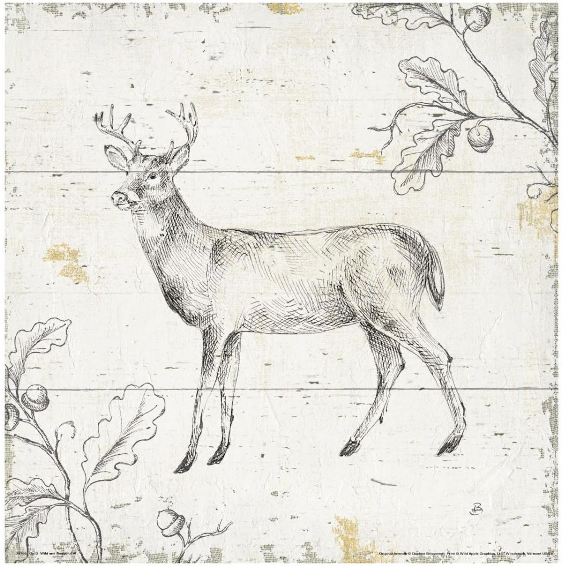 Wild and Beautiful VI -Paper Art-32&quotx32"