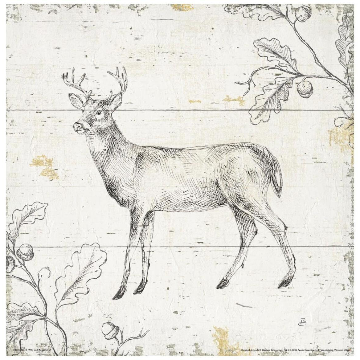 Wild and Beautiful VI -Paper Art-42&quotx42"