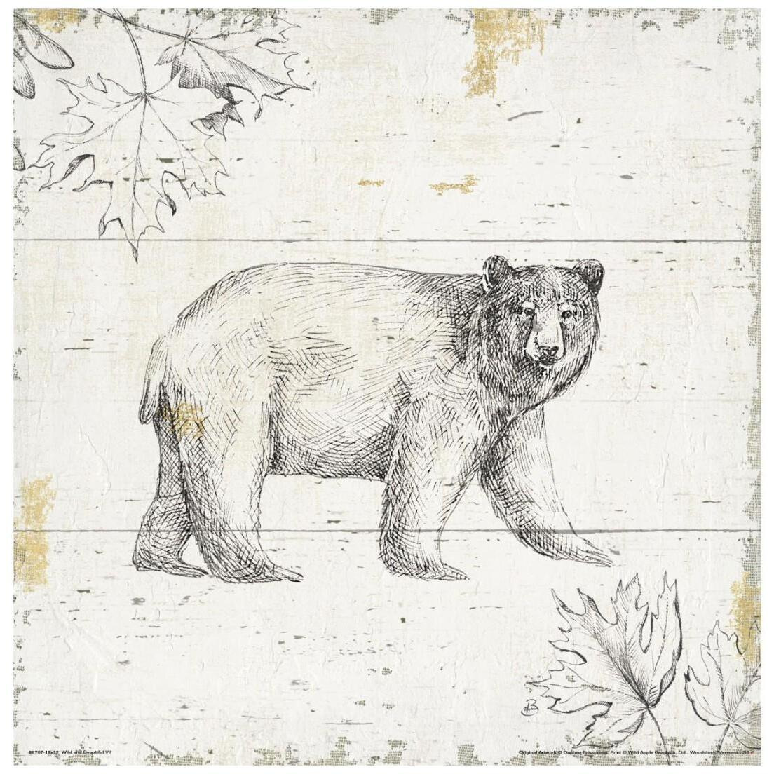 Wild and Beautiful VII -Paper Art-20&quotx20"
