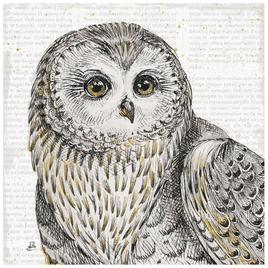 Beautiful Owls II -Paper Art-26&quotx26"