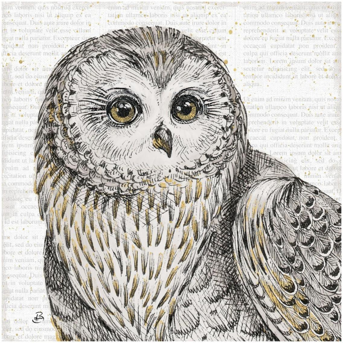 Beautiful Owls II -Paper Art-32&quotx32"
