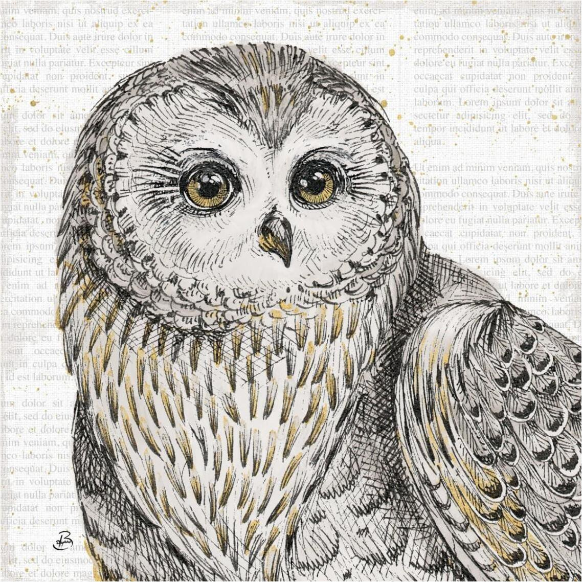Beautiful Owls II -Paper Art-38&quotx38"