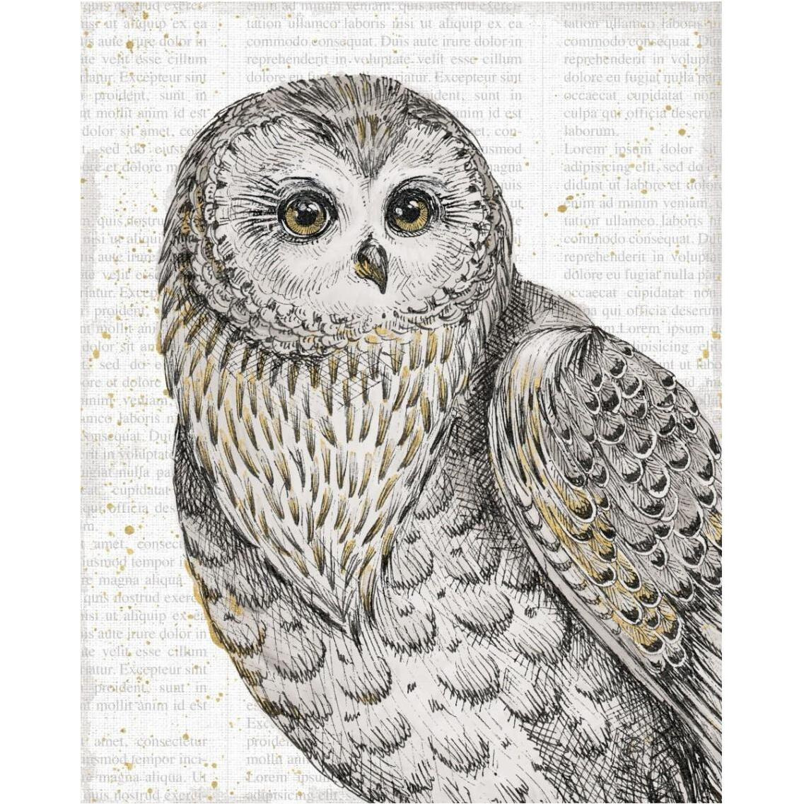 Beautiful Owls IV -Paper Art-30&quotx37"