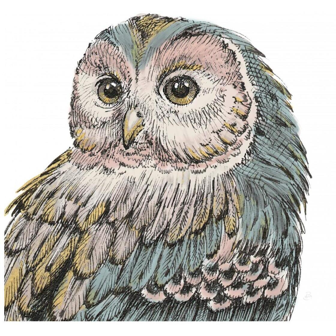 Beautiful Owls I Pastel Crop -Paper Art-26&quotx26"