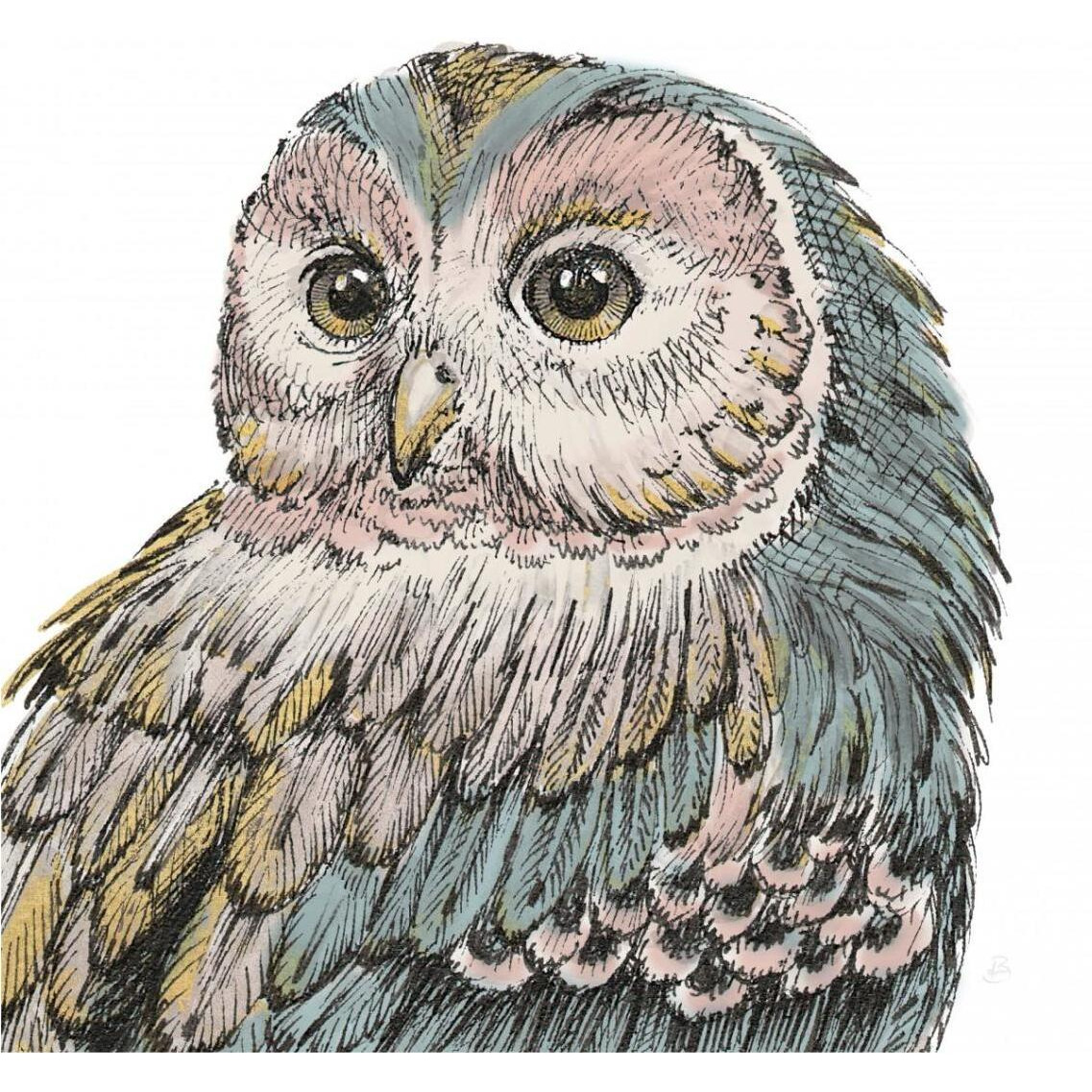 Beautiful Owls I Pastel Crop -Paper Art-38&quotx38"