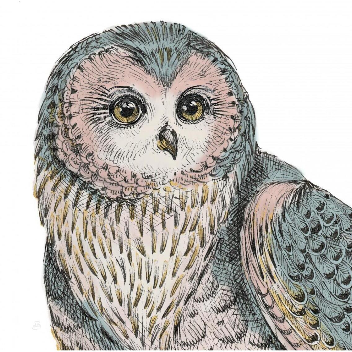 Beautiful Owls IV Pastel Crop -Paper Art-38&quotx38"